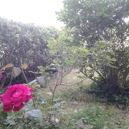 Casa Bindi Hotel Triana ภายนอก รูปภาพ